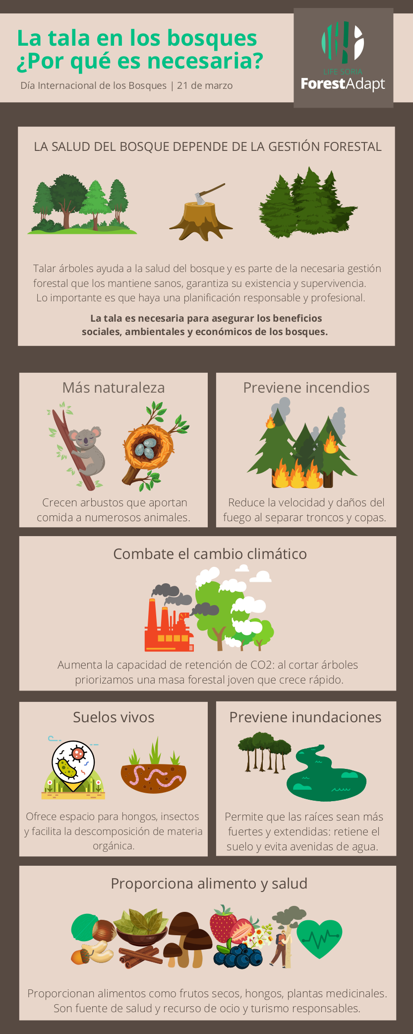 Infografía Día de los bosques