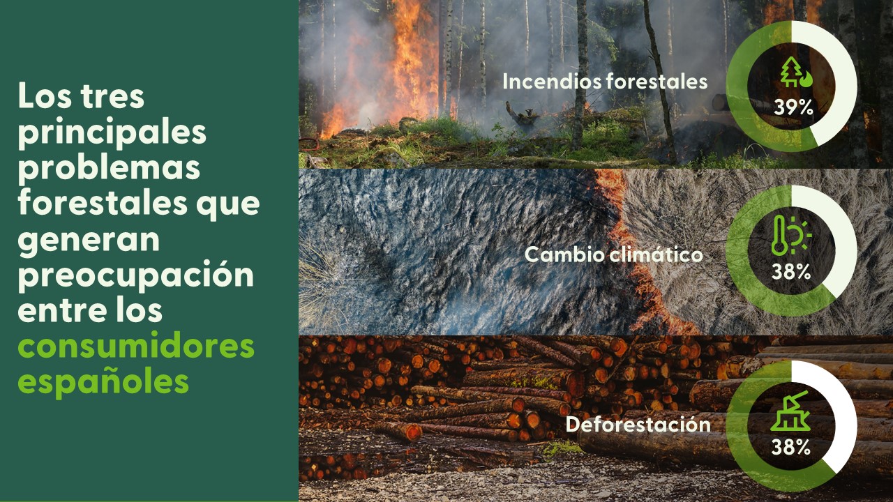 Los principales problemas forestales consumidores españoles
