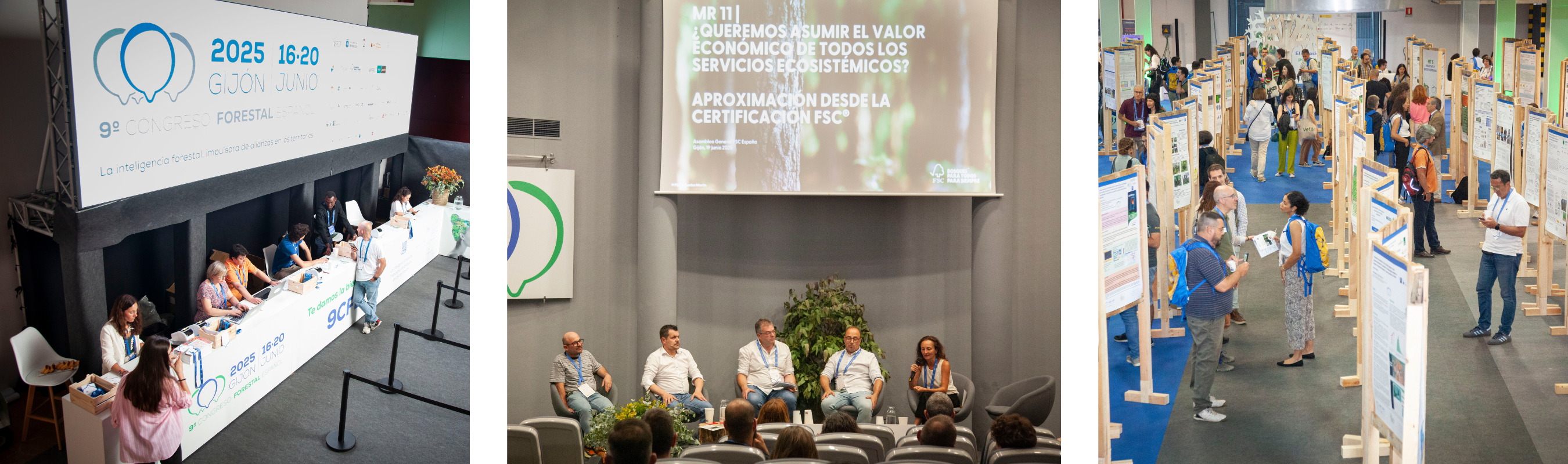asamblea