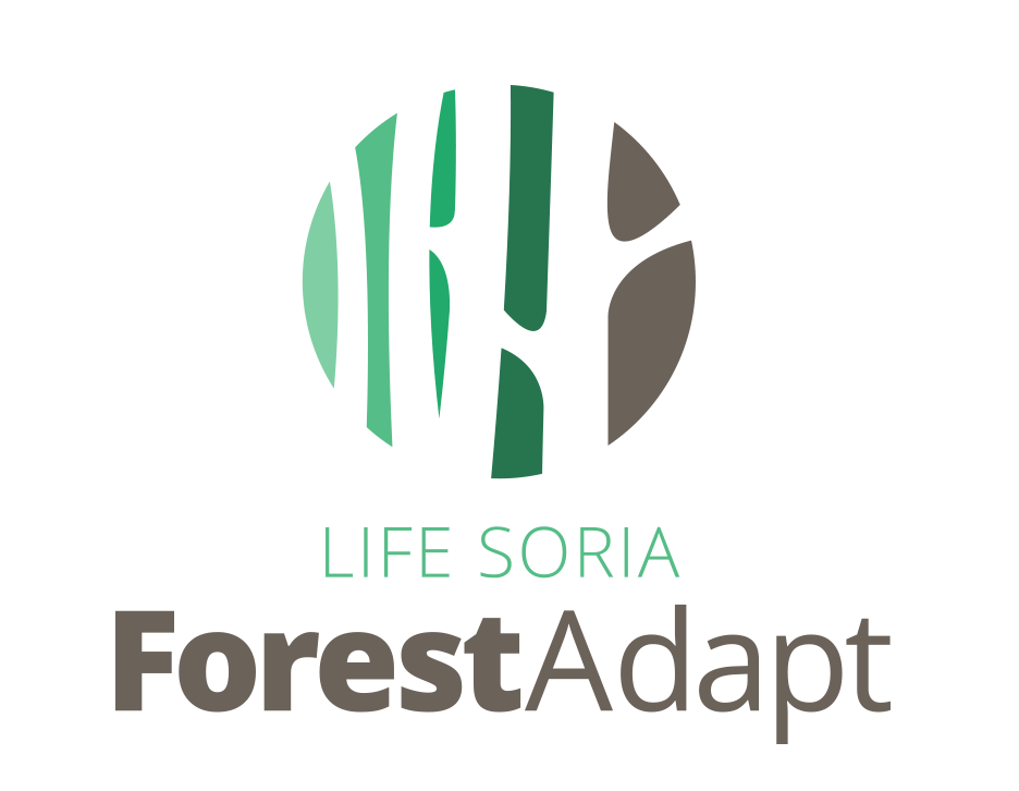 Logo Life Soria Forest Adapt