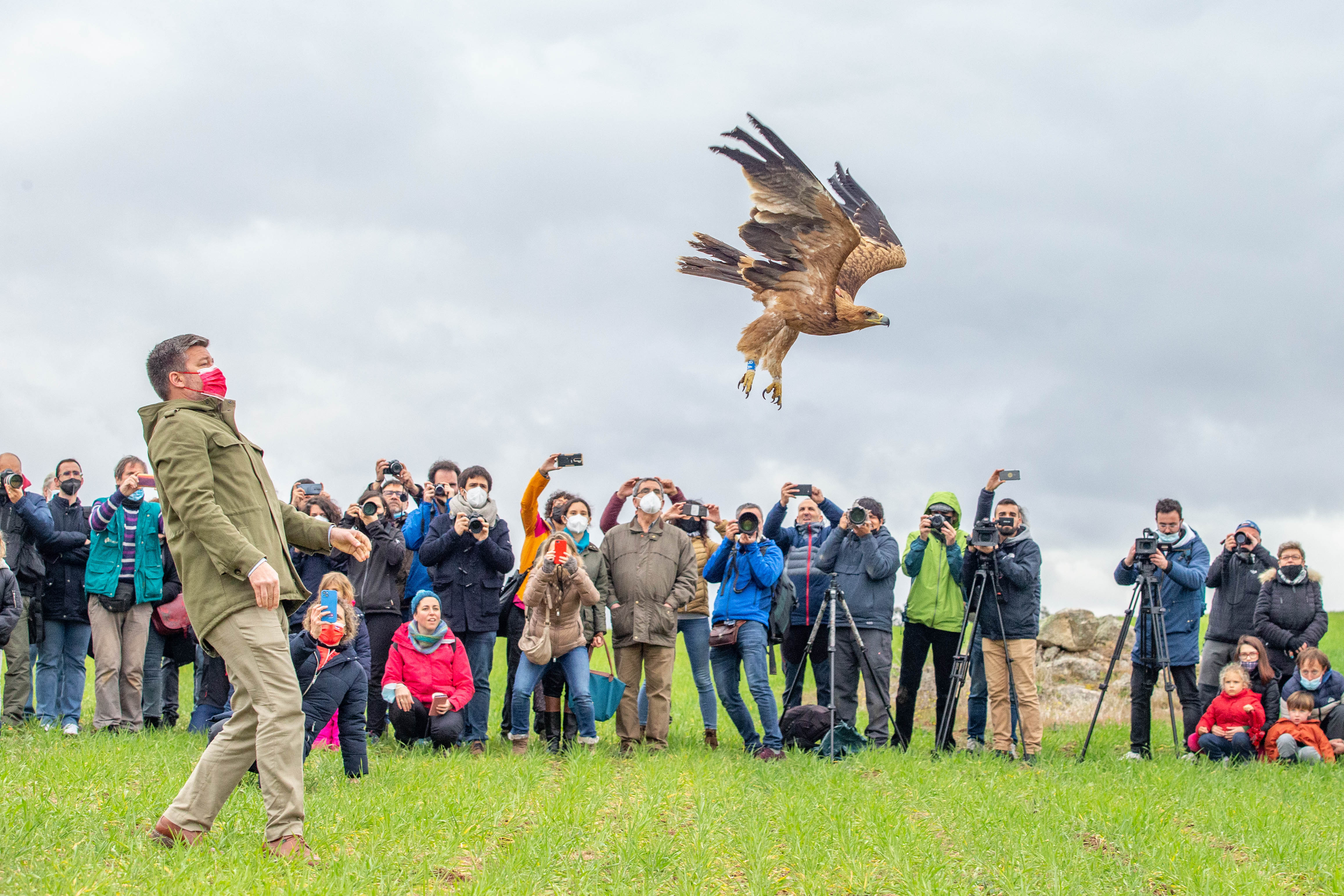 Alxandre de Palmas liberando Águila imperial