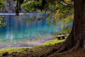 Lago rodeado de naturaleza