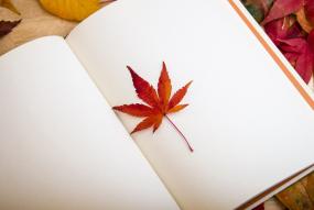 Hoja dentro de un libro en blanco