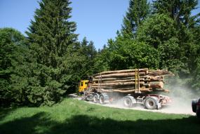 Camión transportando troncos