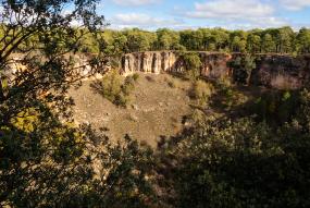 Bosque Cuenca