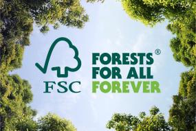 Logo Bosques Para Todos Para Siempre