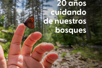 Cabecera 20 Aniversario FSC España