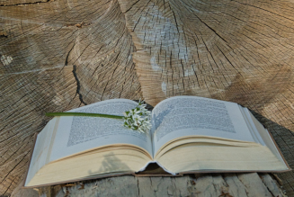Libro y flor