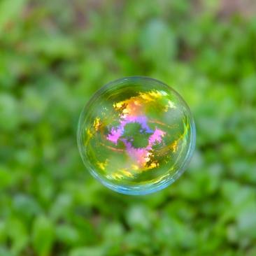 Bola de cristal con naturaleza dentro