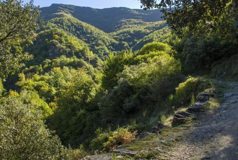 Devesa de Rogueira Lugo