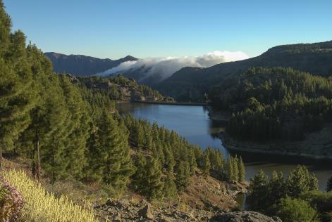 Llanos de la Pez y  Presa Hornos (Tejeda)