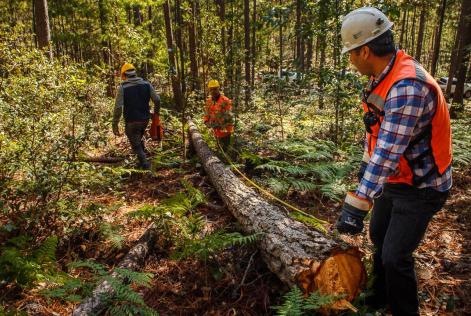 2022_COMMS_Durango, Mexico