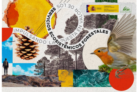 Jornada Servicios Ecosistema Soria