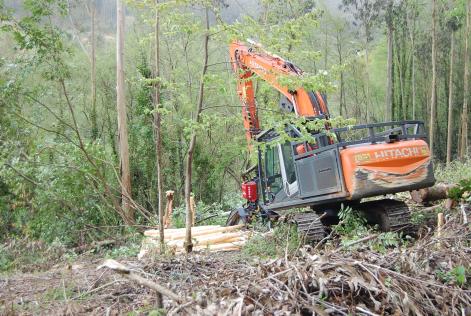 Desembosque Eucaliptal