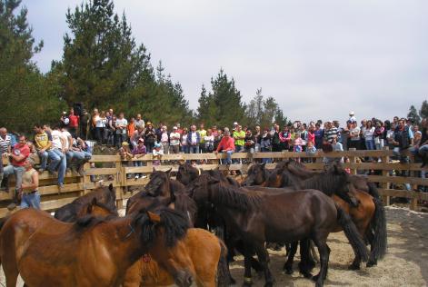 Pequeños propietarios en Galicia