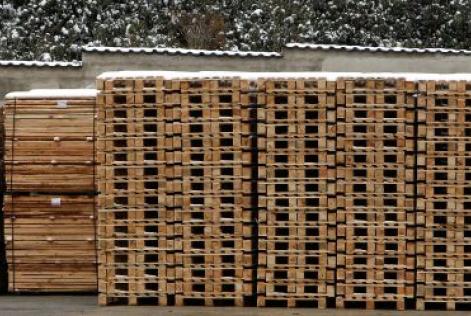 Muebles que conservan bosques