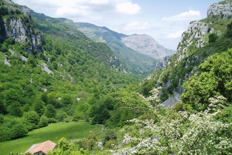 Parque Natural Collados del Asón