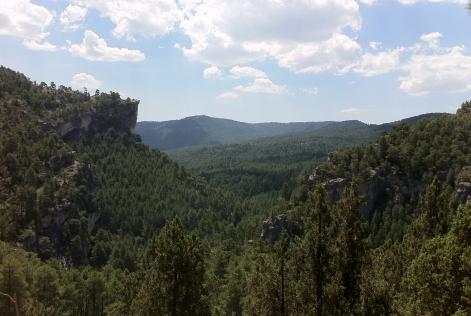 MUP 119 “Barrancos” hacia Valle del Hosquillo (SUR) en M.U.P nº 115 “El Pajarejo del Ayto. de Cuenca