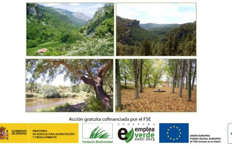 Imagen de portada del Estudio