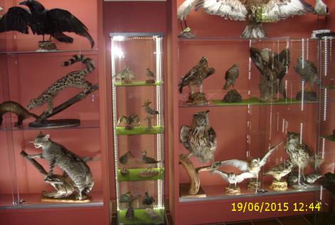 Inauguraci&oacute;n Museo Forestal Coca por Juan Carlos Alvarez