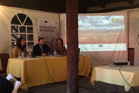 Reuni&oacute;n Almonaster de la Real