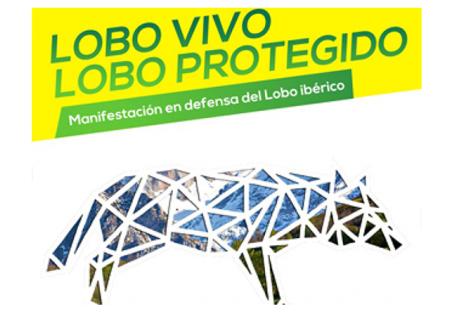 Manifestación Apoyo Lobo Ibérico
