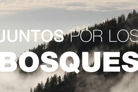 Juntos por los Bosques