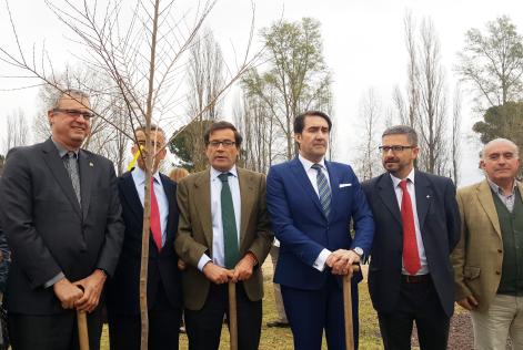 Día Internacional de los Bosques