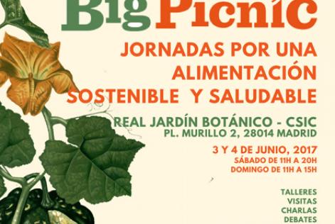 Big Picnic