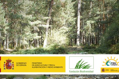 Convocatoria de concesión de ayudas de la Fundación Biodiversidad del MAPAMA