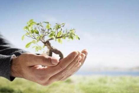 Día del Medio Ambiente