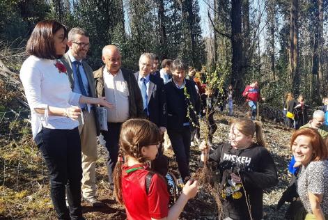 Plantación Carrefour