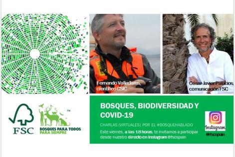 Valladares en #BosqueHablado