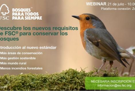 Webinar nuevo estándar
