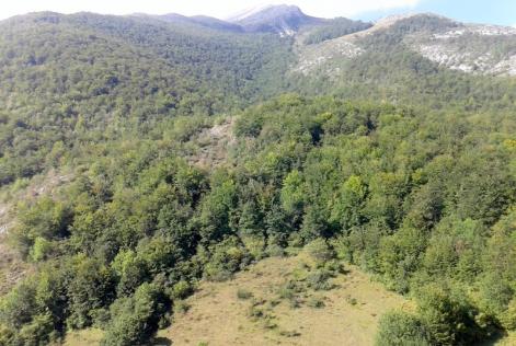 Bosque asturiano FSC