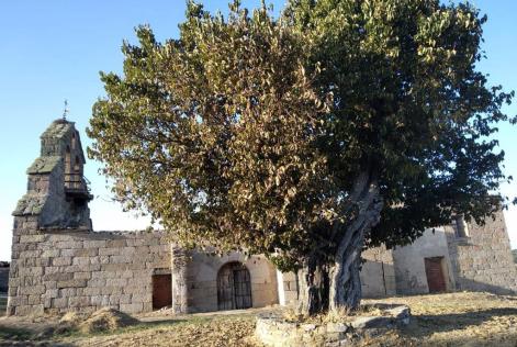 Moral de San Silvestre