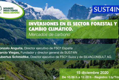 Webinar mercados carbono