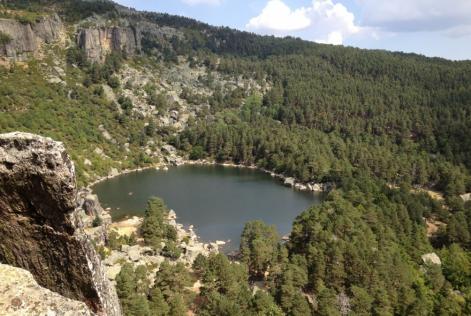Bosques Soria