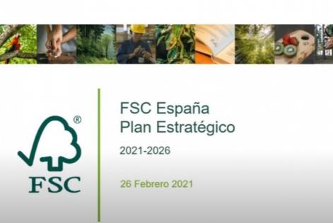 Plan Estratégico FSC