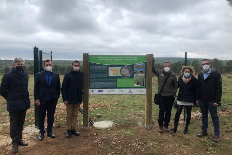 Plantación Carrefour