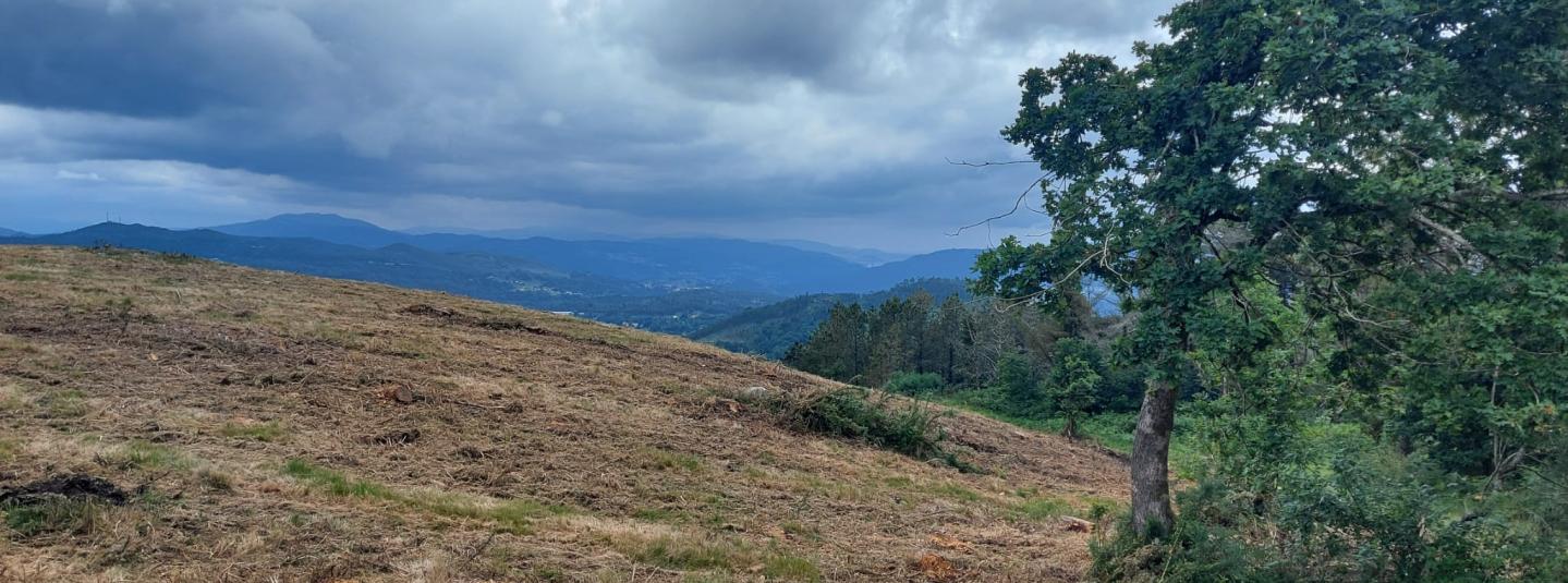 Monte de Laxoso