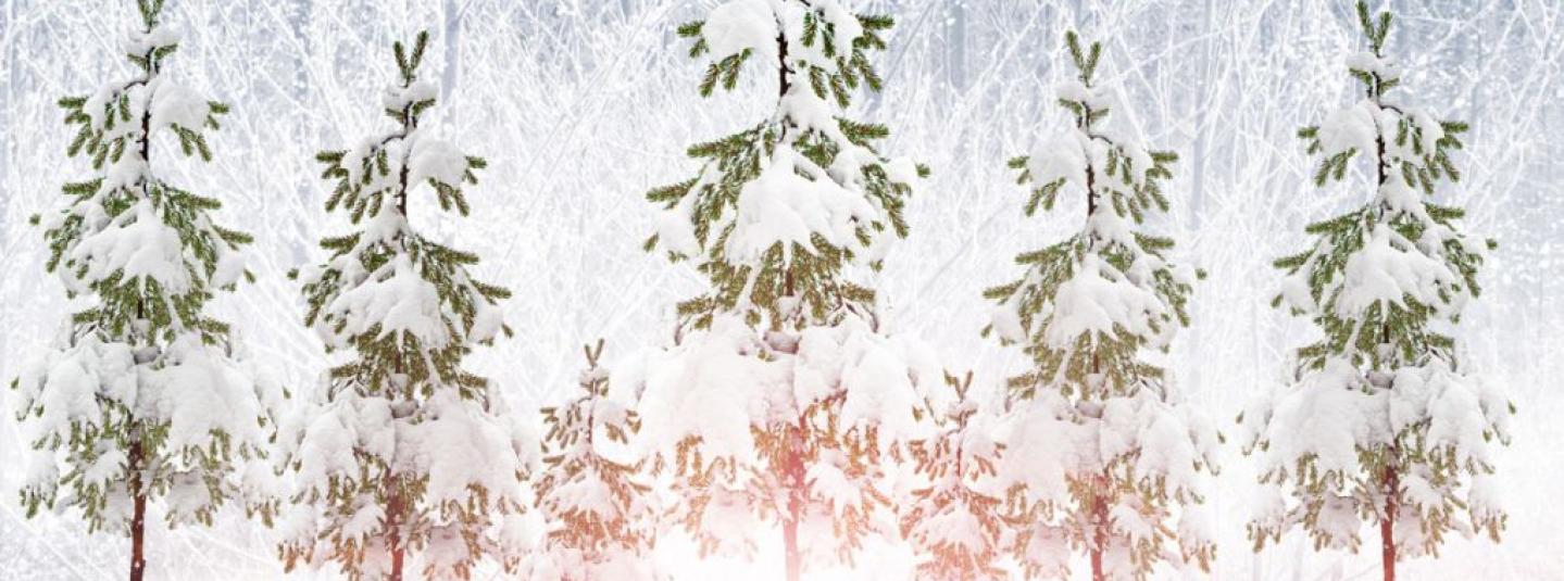 felicitación navideña 2025