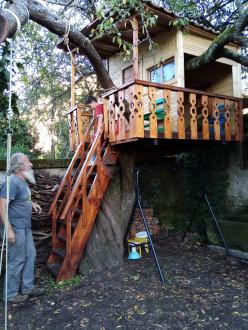 Un bosque cercano