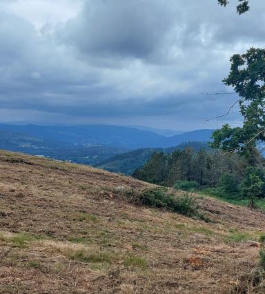 Monte de Laxoso