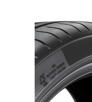 Rueda Pirelli FSC