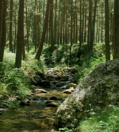 valsaín orgulloso