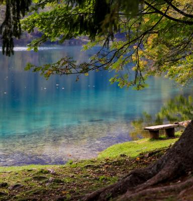 Lago rodeado de naturaleza