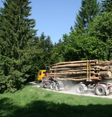 Camión transportando troncos