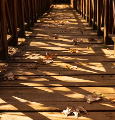 Puente de madera