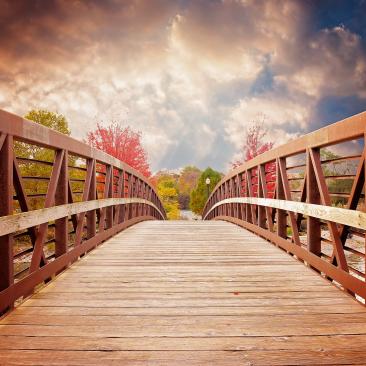 Puente de madera y al fondo un bosque